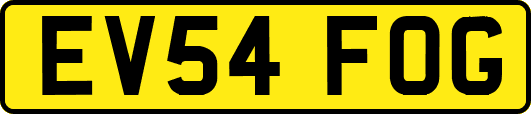 EV54FOG