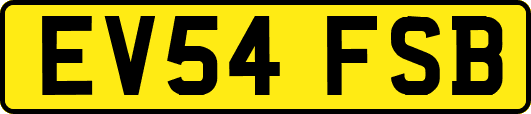 EV54FSB