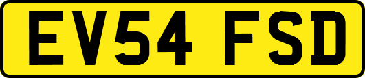 EV54FSD