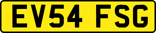 EV54FSG