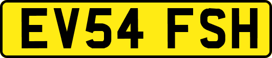EV54FSH