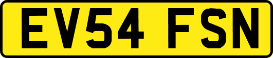 EV54FSN