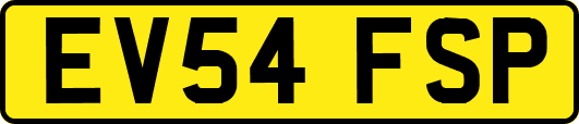 EV54FSP