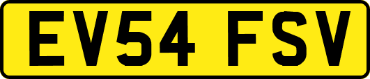EV54FSV