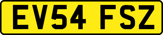 EV54FSZ