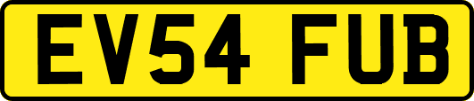 EV54FUB