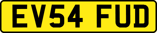 EV54FUD