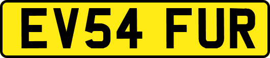 EV54FUR