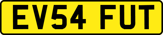 EV54FUT