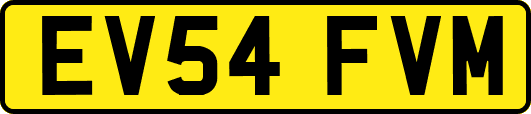 EV54FVM