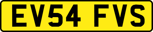 EV54FVS