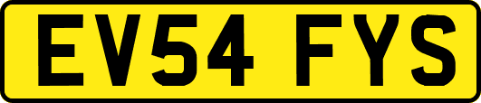 EV54FYS