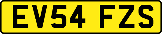 EV54FZS