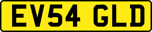 EV54GLD