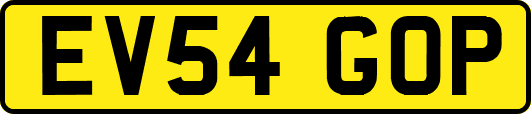 EV54GOP