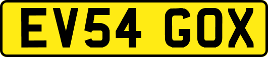 EV54GOX
