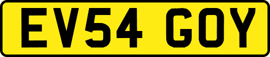EV54GOY