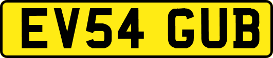 EV54GUB