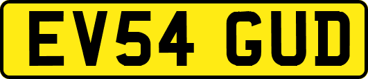 EV54GUD