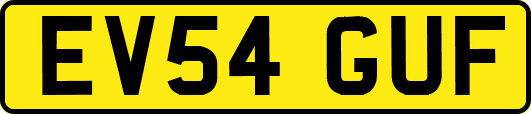 EV54GUF