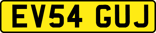 EV54GUJ