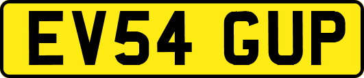 EV54GUP