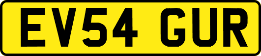 EV54GUR