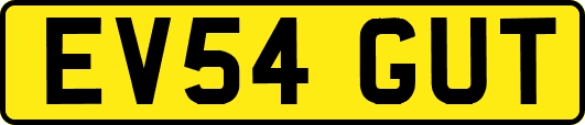 EV54GUT