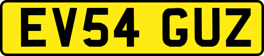 EV54GUZ