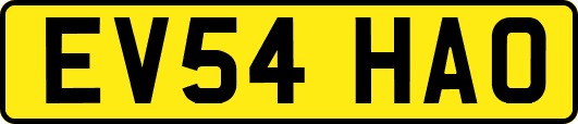 EV54HAO