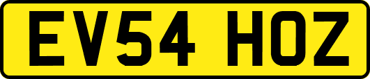 EV54HOZ