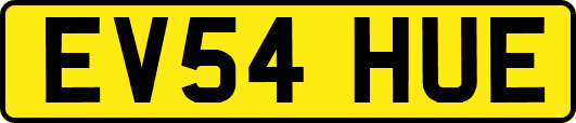EV54HUE