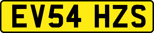 EV54HZS