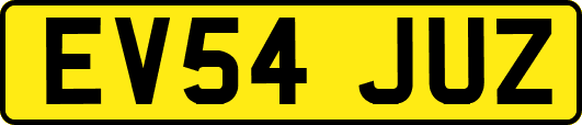 EV54JUZ
