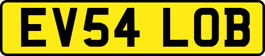 EV54LOB
