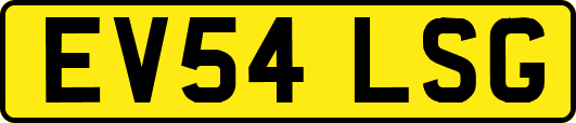 EV54LSG