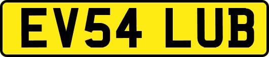 EV54LUB