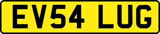 EV54LUG