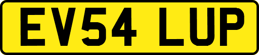 EV54LUP