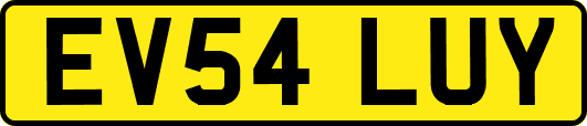 EV54LUY