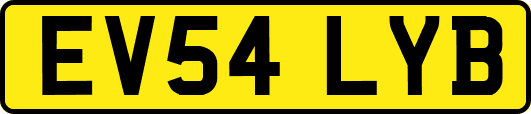 EV54LYB