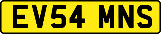 EV54MNS
