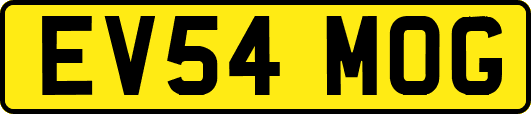 EV54MOG