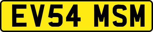EV54MSM
