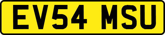 EV54MSU