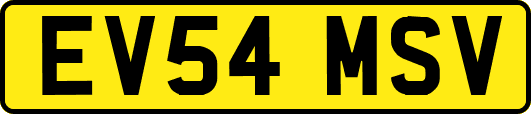 EV54MSV