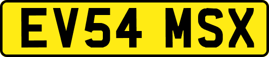 EV54MSX