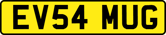 EV54MUG