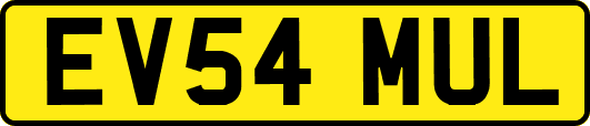 EV54MUL