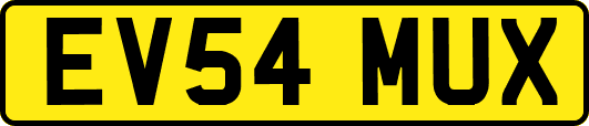 EV54MUX